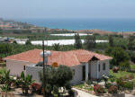 Bananorama villa in Paphos Cyprus for holiday rentals - a bargain holiday.