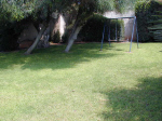 Swings on the lawn