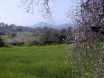 View of Vavla