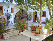 Quaint old agrotourism property in Cyprus for holiday rentals.- Cyprus villages -