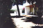 Bougainvillea offers shade as well as Cypriot sunshine.