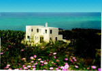 Banana Sunset Villa overlooking the sea in Paphos,Cyprus