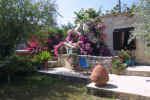 cyprus_villas_agrotourism_latchi_olgagarden.jpg (62394 bytes)