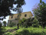 Villa Eleni is in a quiet spot near Polis in cyprus