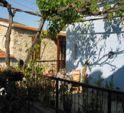 Vine covered balcony at Stratos House in Cyprus